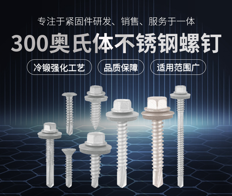 奧氏體不銹鋼復合螺釘